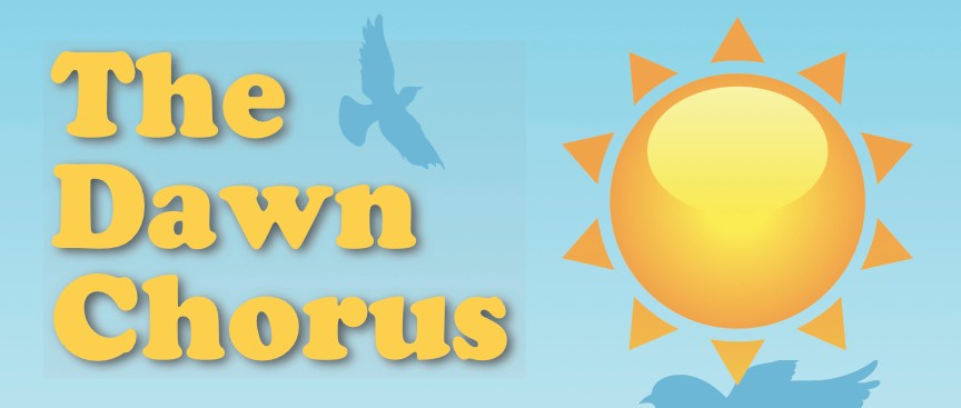 Sing With The Dawn Chorus